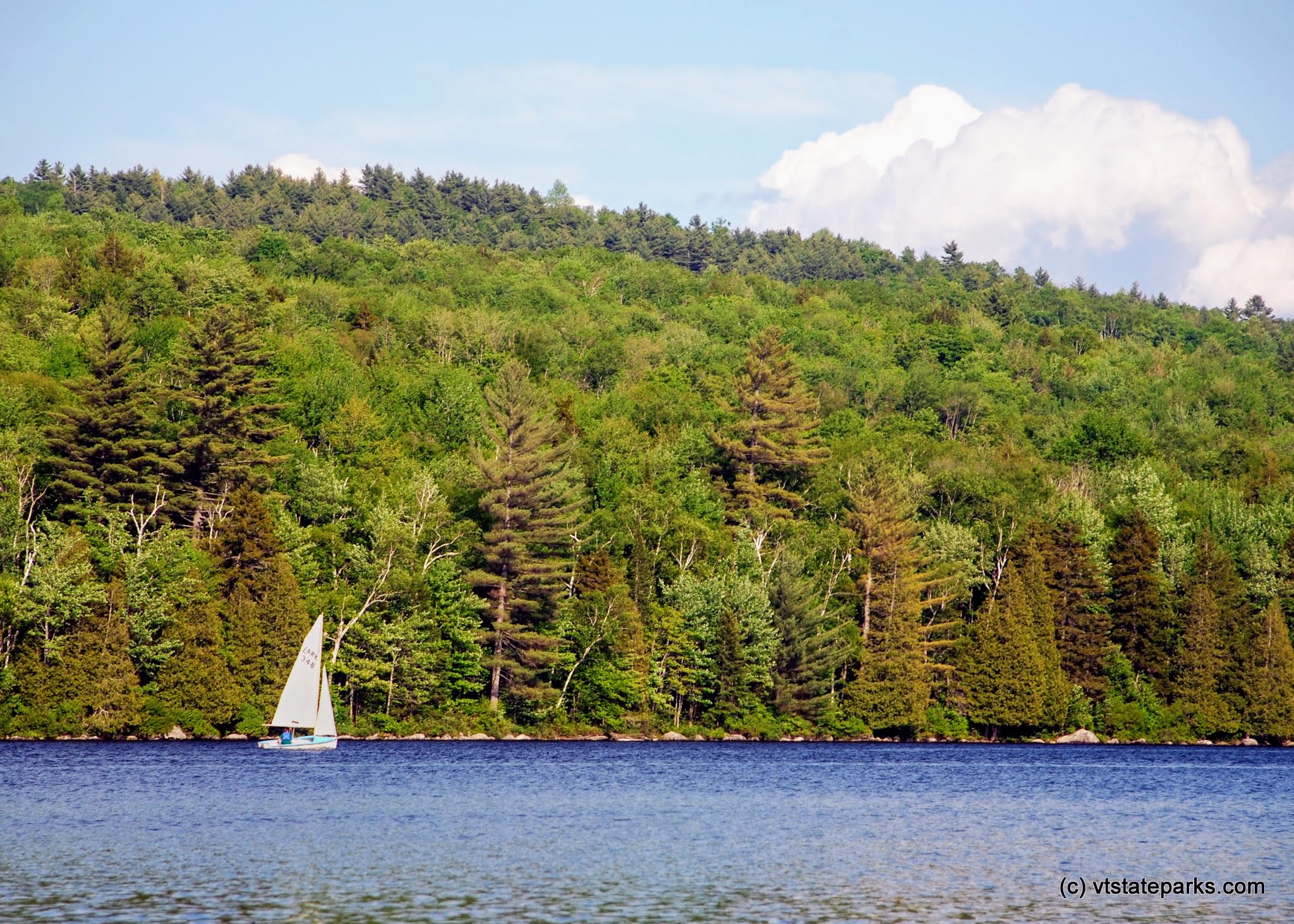 Sailboat at Ricker Pond State Park by Linda Carlsen Sperry
