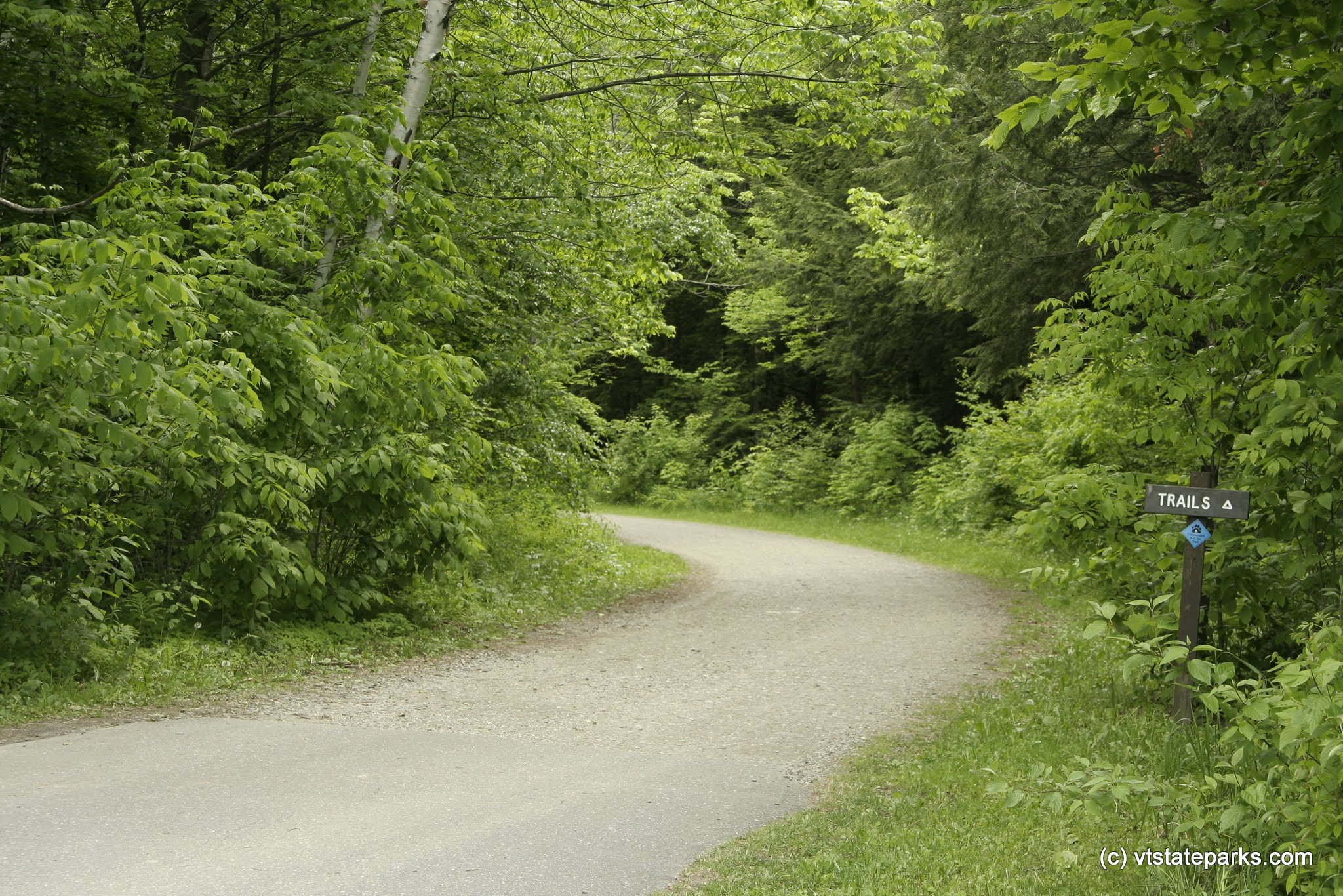 Trails at Lake Elmore State Park