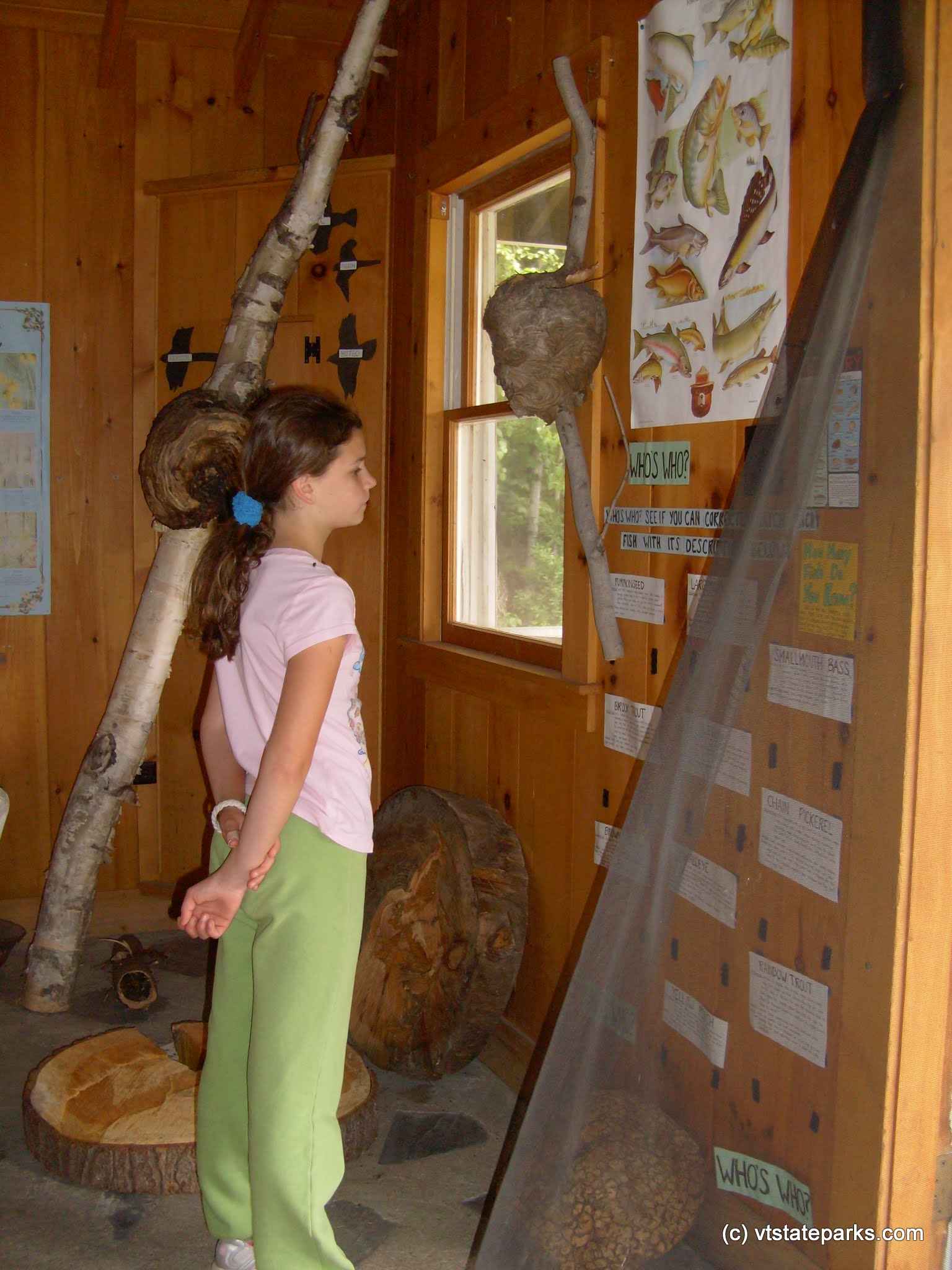 Checking out the displays at Groton Nature Center, near Boulder Beach State Park by Michelle Boucher