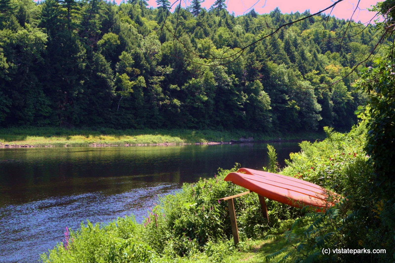 The Connecticut River at Wilgus State Park by Sharon McQuarrie-Krampitz