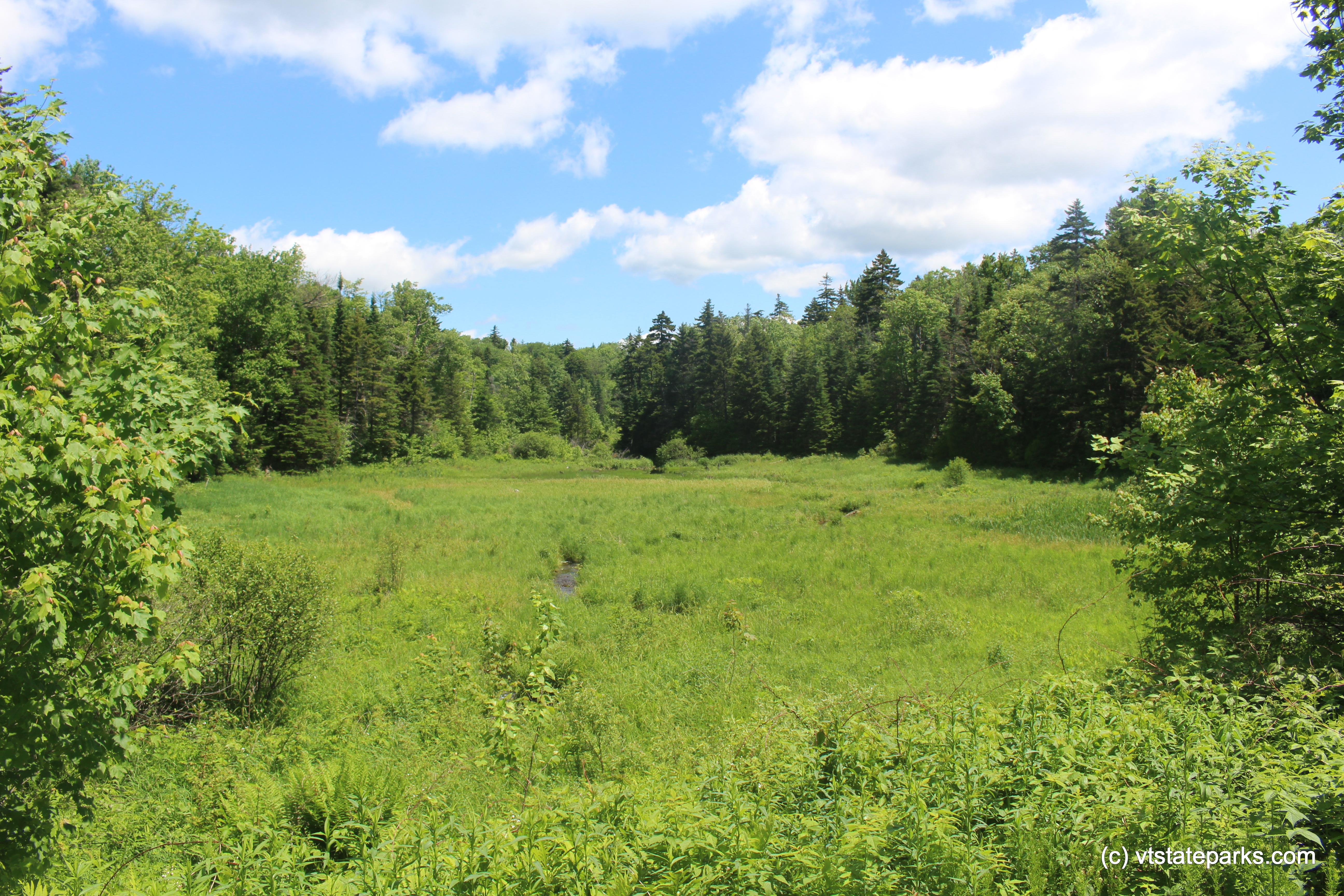 Scenic meadow at Woodford State Park by Jess Lubas