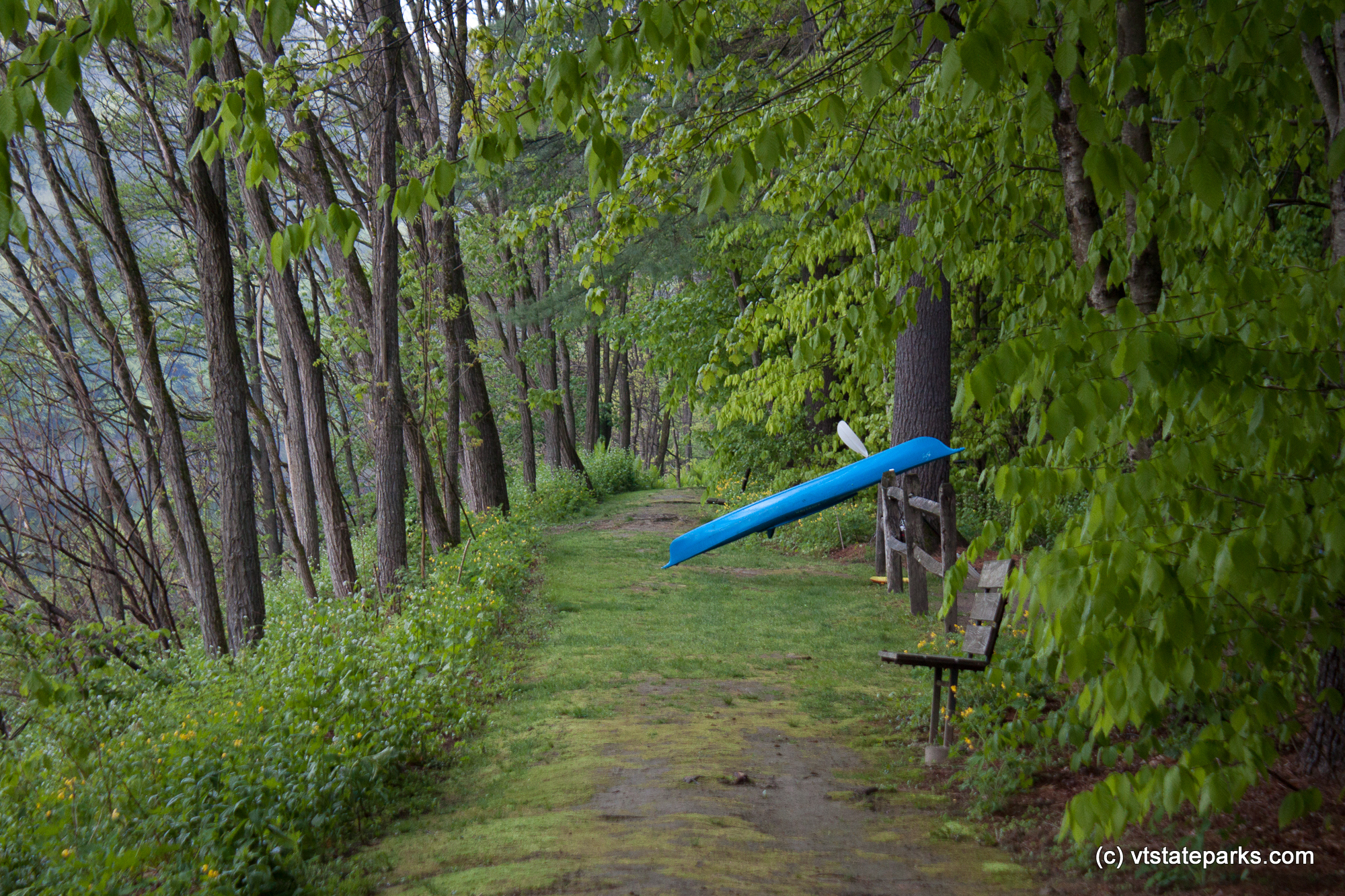 Nice path with waterview at Wilgus State Park by Tara Schatz