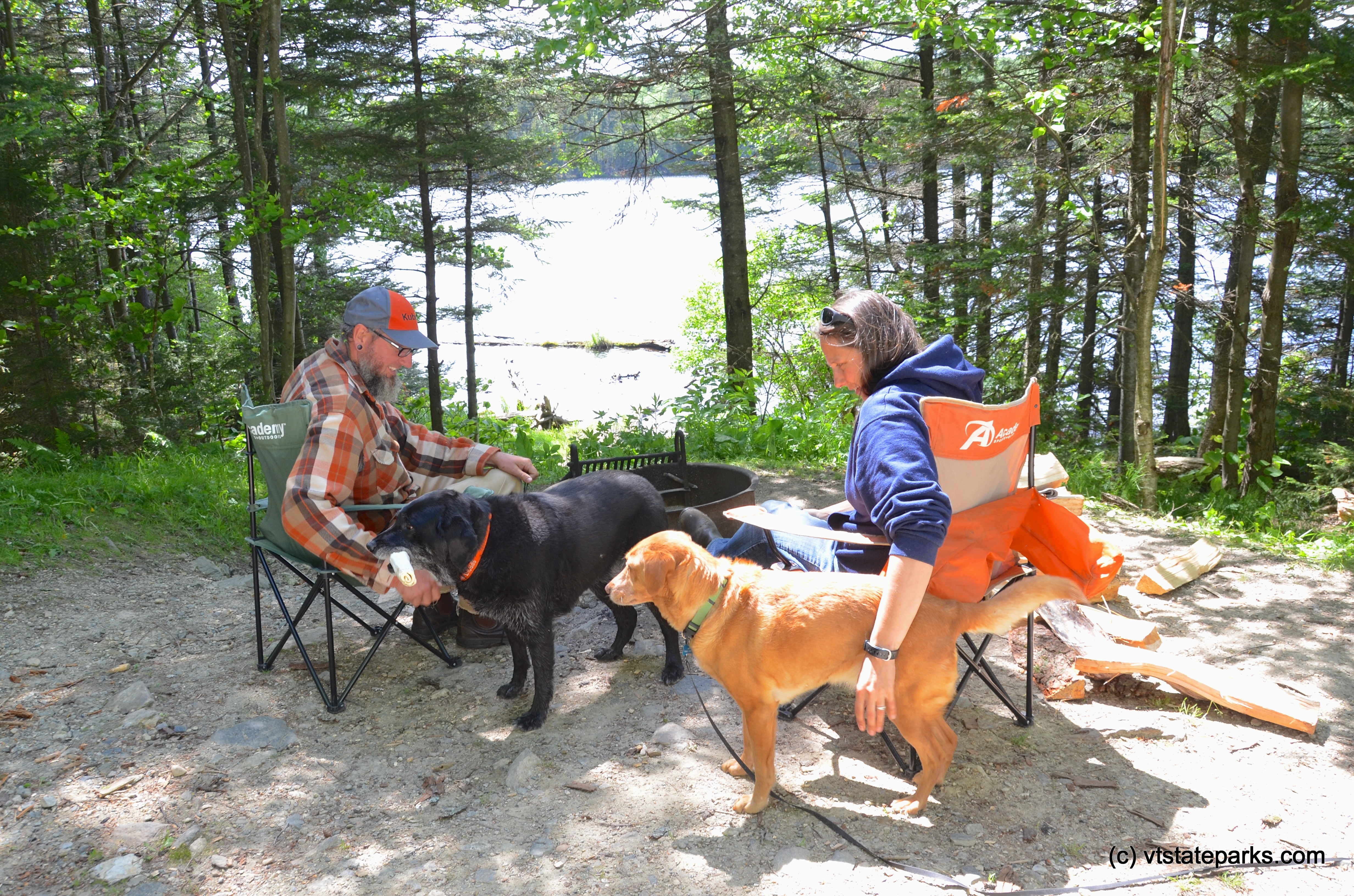 Friends and pets relaxing at Woodford State Park by Linda Carlsen-Sperry