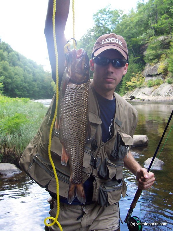 From Ryan Murray: Near record Fall Fish caught on the West River at Jamaica State Park