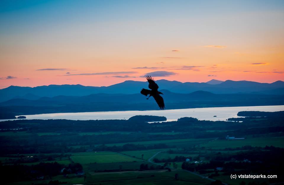 Raven seen from top of Mt Philo by Kim Frigault