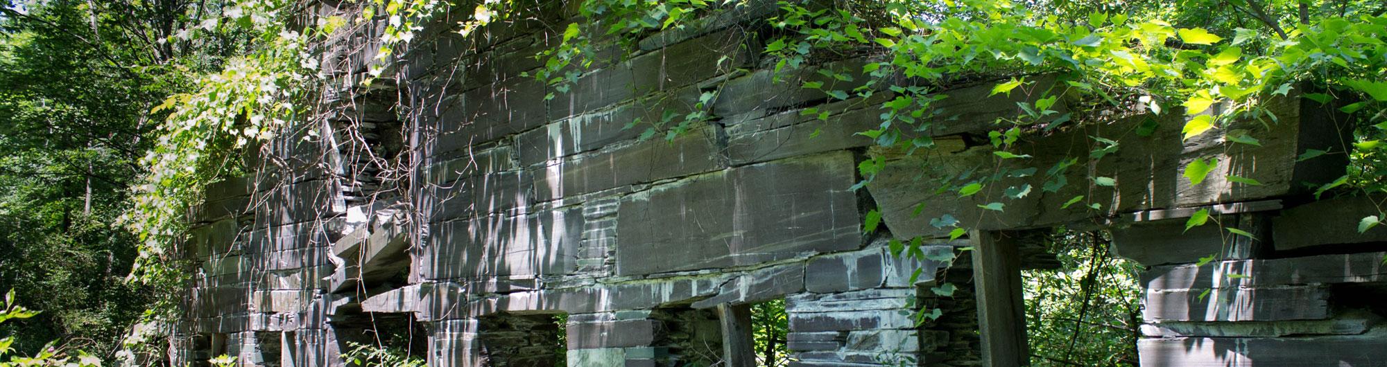 Bomoseen State Park 4