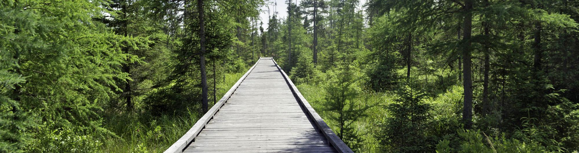 Lake Carmi State Park 3