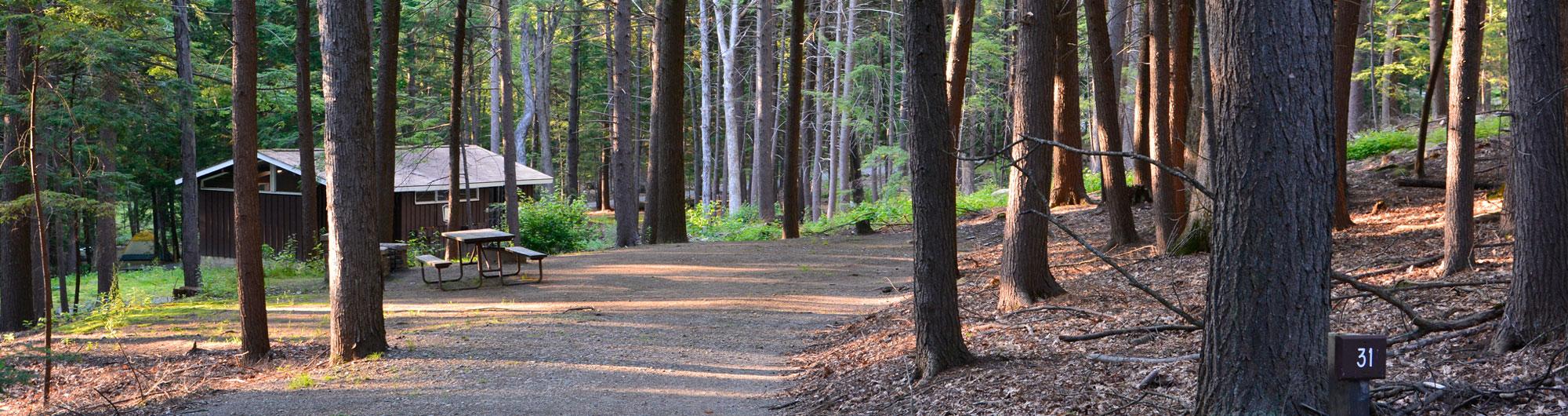Fort Dummer State Park 1
