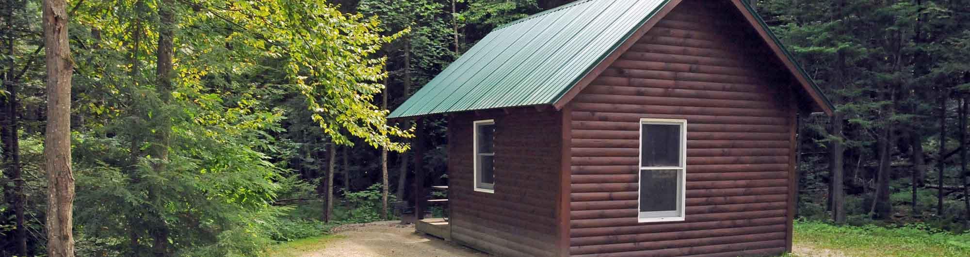 Gifford Woods State Park 4