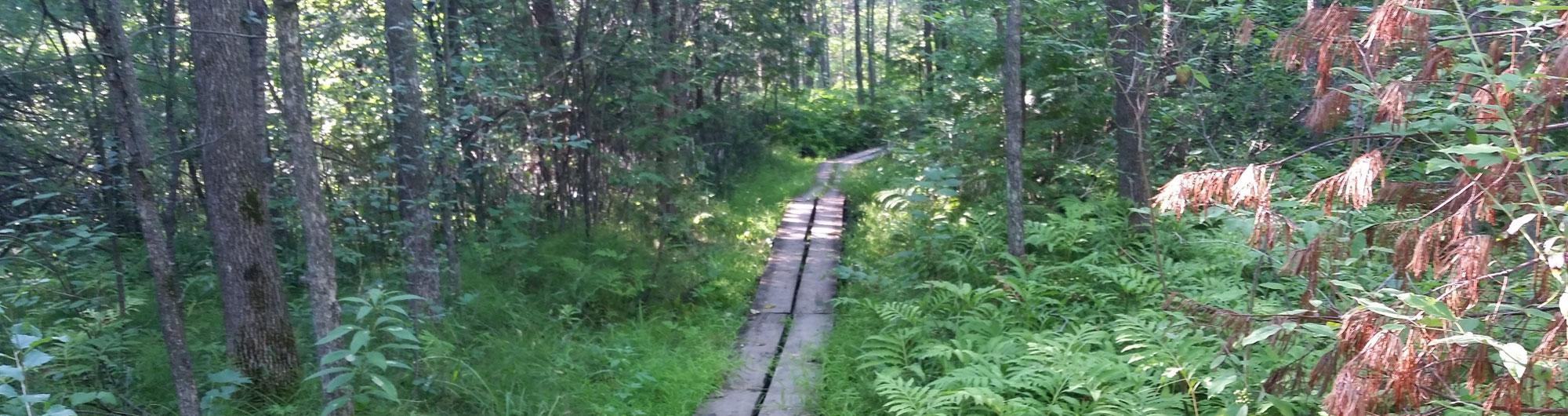 Grand Isle State Park 3