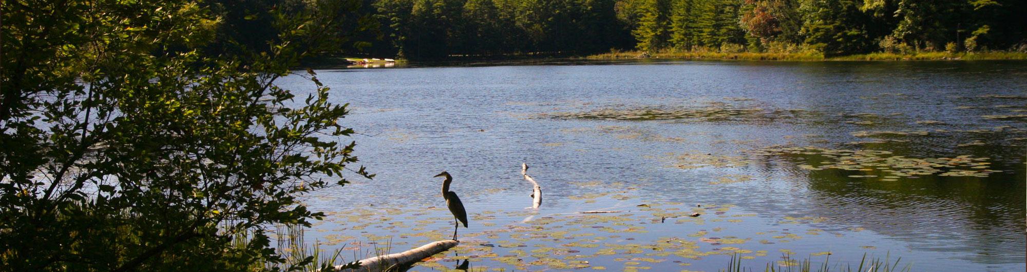 Half Moon Pond State Park 4