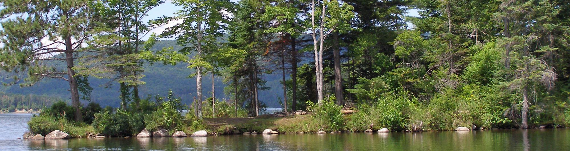 Molly's Falls Pond State Park 1
