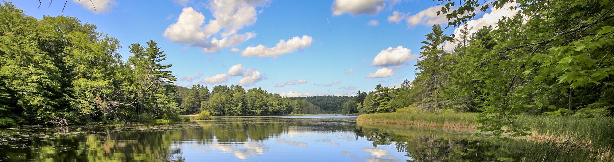 Lake Shaftsbury State Park 1