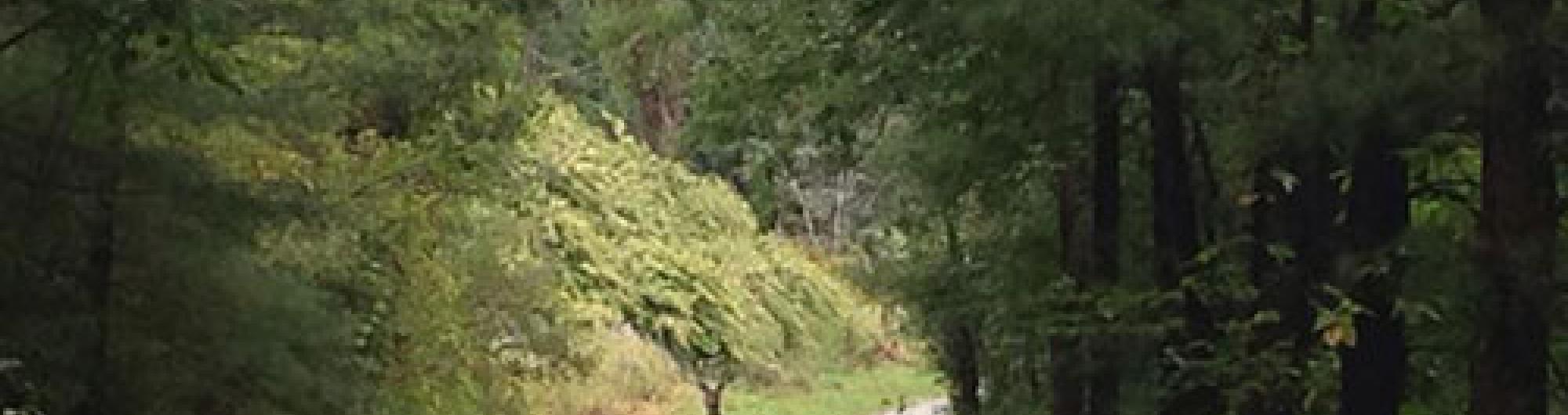Taconic Mountains Ramble State Park 3