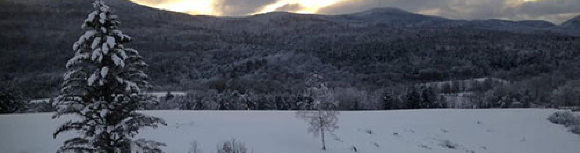 Taconic Mountains Ramble State Park 4