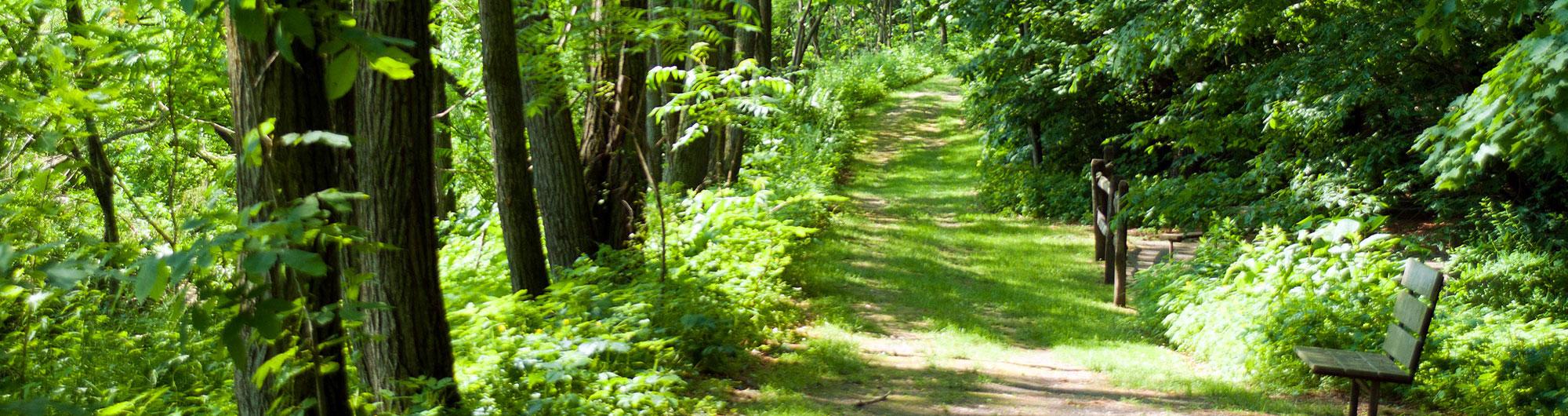 Wilgus State Park 1