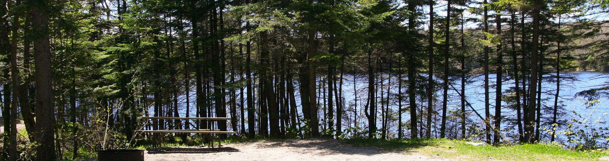 Woodford State Park 3