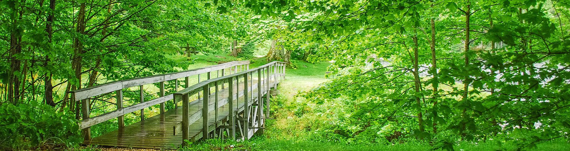 Woodford State Park 4