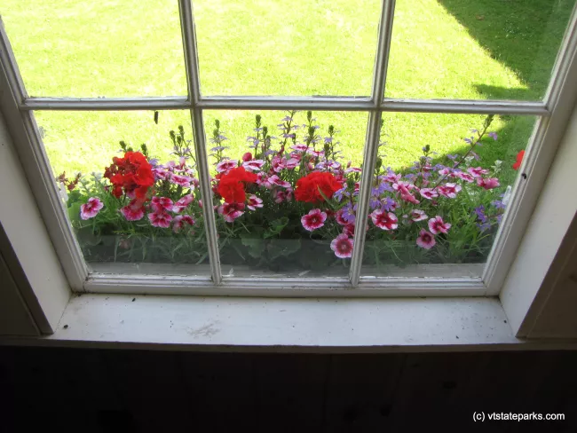 Window flowers at Kingsland Bay State Park by Ila Sewall