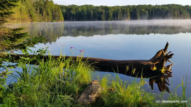 Tree down on Adams Rservoir at Woodford State Park by Matt Parsons