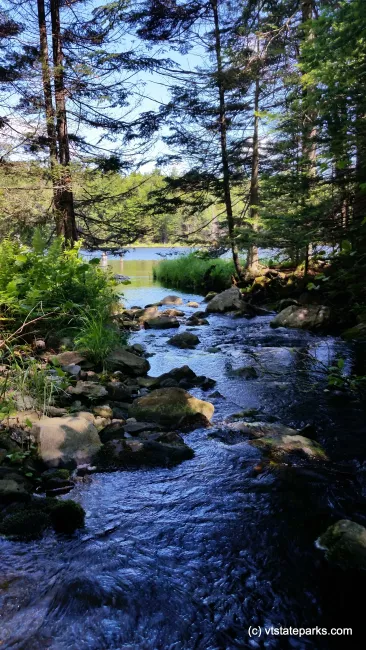 A creek on the Adams Reservoir in Woodford State Park my Matt Parsons