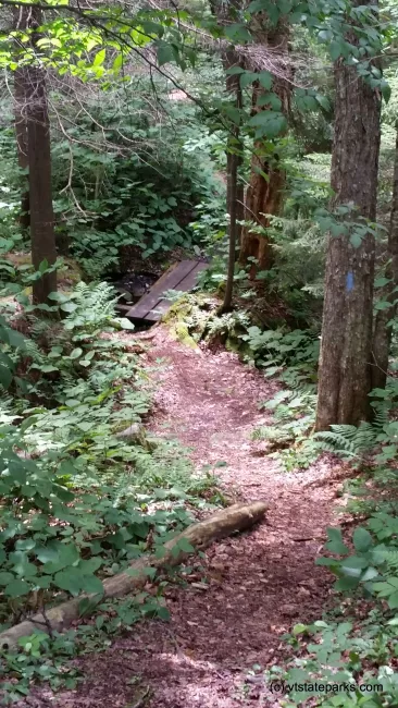Walking trail at Woodford State Park by Matt Parsons