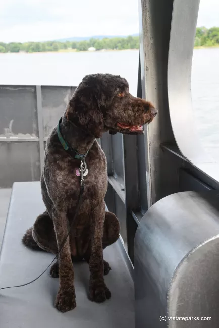 Hey this is a beautiful view out the window of the Island Runner Ferry  at Burton Island State Park by Raven Schwan-Noble