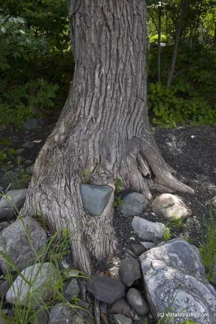 For use in self-promotional materials for Vermont State Parks.