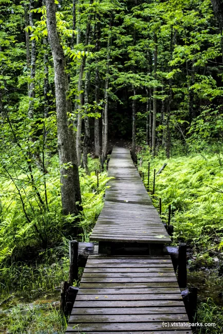 Boardwalk at Niquette Bay State Park by Kristen Jensen
