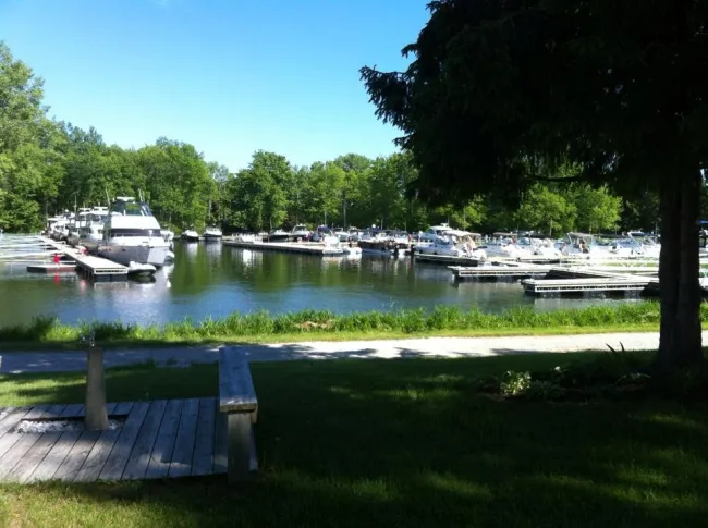 A scenic view of a marina on a sunny day, featuring several boats docked along the piers. The water is calm and reflects the clear blue sky. Lush green trees surround the marina, providing a natural backdrop. In the foreground, there is a grassy area with a wooden bench, partially shaded by a large tree.