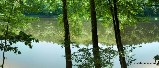 On the edge of the Connecticut River at Wilgus State Park by Paul Anderson