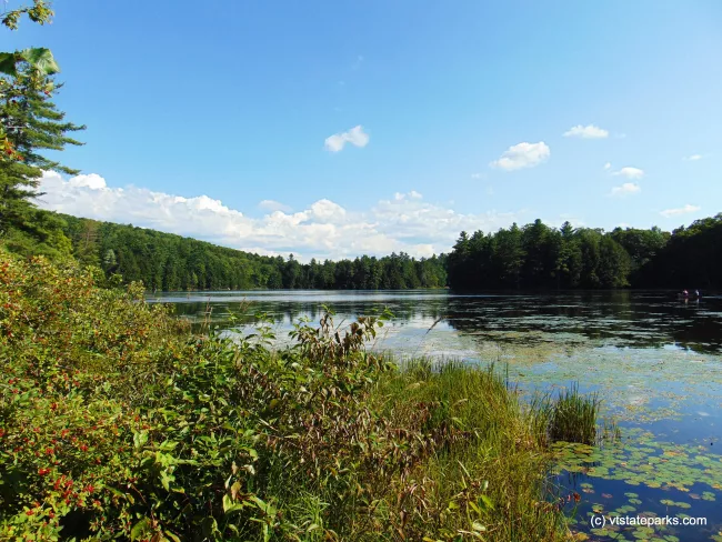 A summer view of  Half Moon Pond at Half Moon Pond State Park by Belinda Lafountain