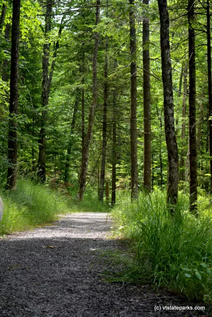 Nature walk at Green River Reservoir State Park by Alexandra Martin