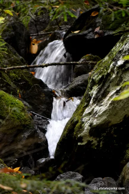 Beautiful waterfall at Elmore State Park by Alexandra Martin