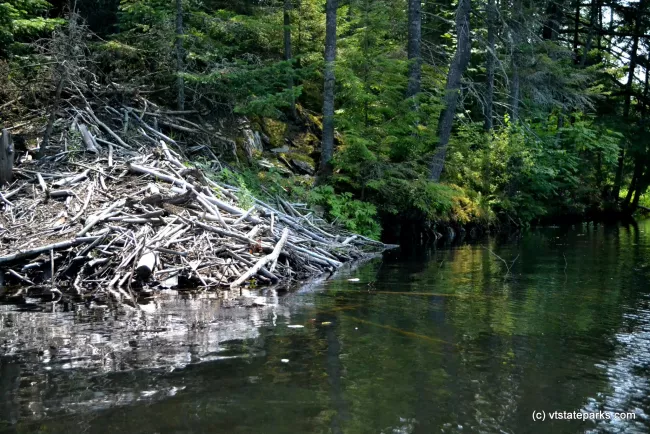 Beaver Lodge at Green River Reservoir State Park by Alexandra Martin
