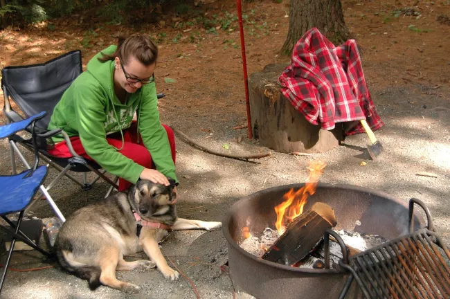 Dog by the campfire at Quechee State Park by Renee McWilliams