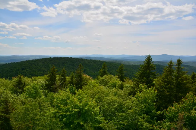 Mountain views from the fire tower at Molly Stark State Park by Bill Steele