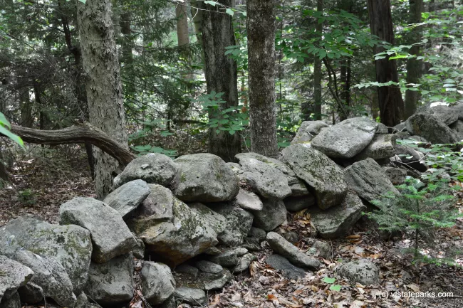 An old stone wall in the woods at Molly Stark State Park by Bill Steele