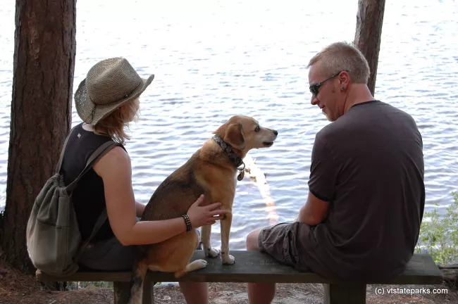 A couple and dog relax next to Spectacle Pond, Brighton State PArk