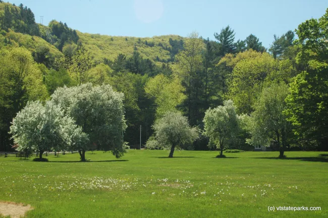 Trees in the spring at Branbury State Park