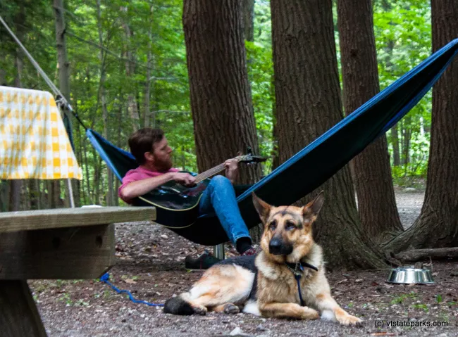 This pup is enjoying music at Emerald Lake State Park by Tara Schatz