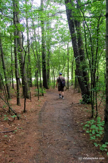Trail at Grand Isle State Park
