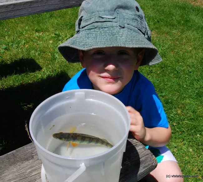 Child catching a fish at Grand Isle State Park by Barry Solman