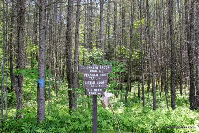 Lots of trail at Stillwater State Park by David Jalbert