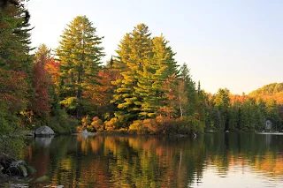 Foliage reflections in the pond at Ricker Pond State Park by Lene Gary