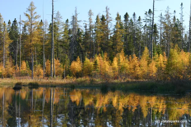 Yellow foliage reflection at Green River Reservior State Park by Lene Gary