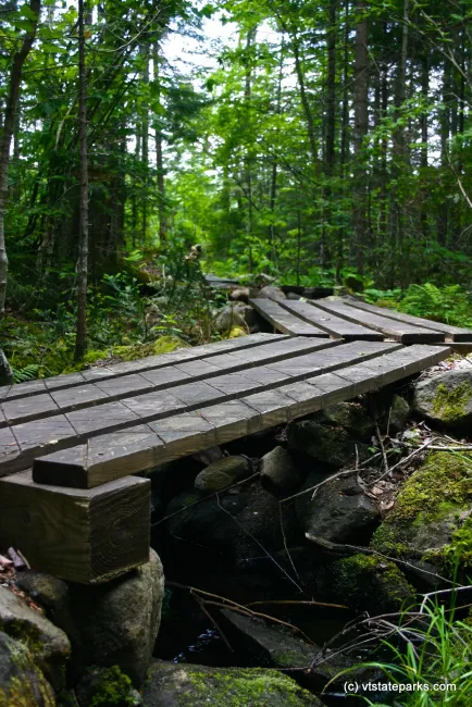 Wooden walk way at Kettle Pond State Park by Wesley Morris