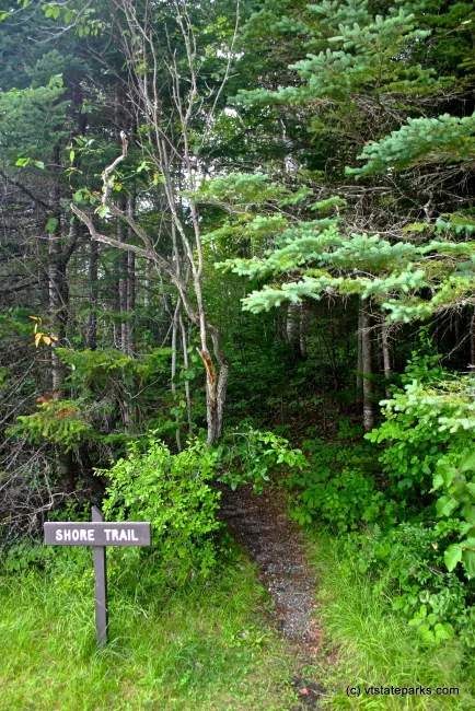 Beautiful scenic Shore Trail located in Brighton State Park by Wesley Morris