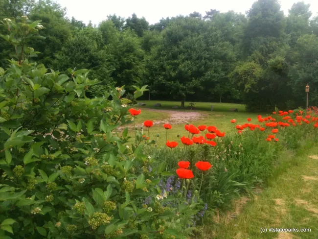 Nicely gardened at Stillwater State Park by Sara Hayes