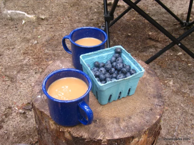 Blueberries and coffee at camp, Big Deer State Park by Matt Parsons